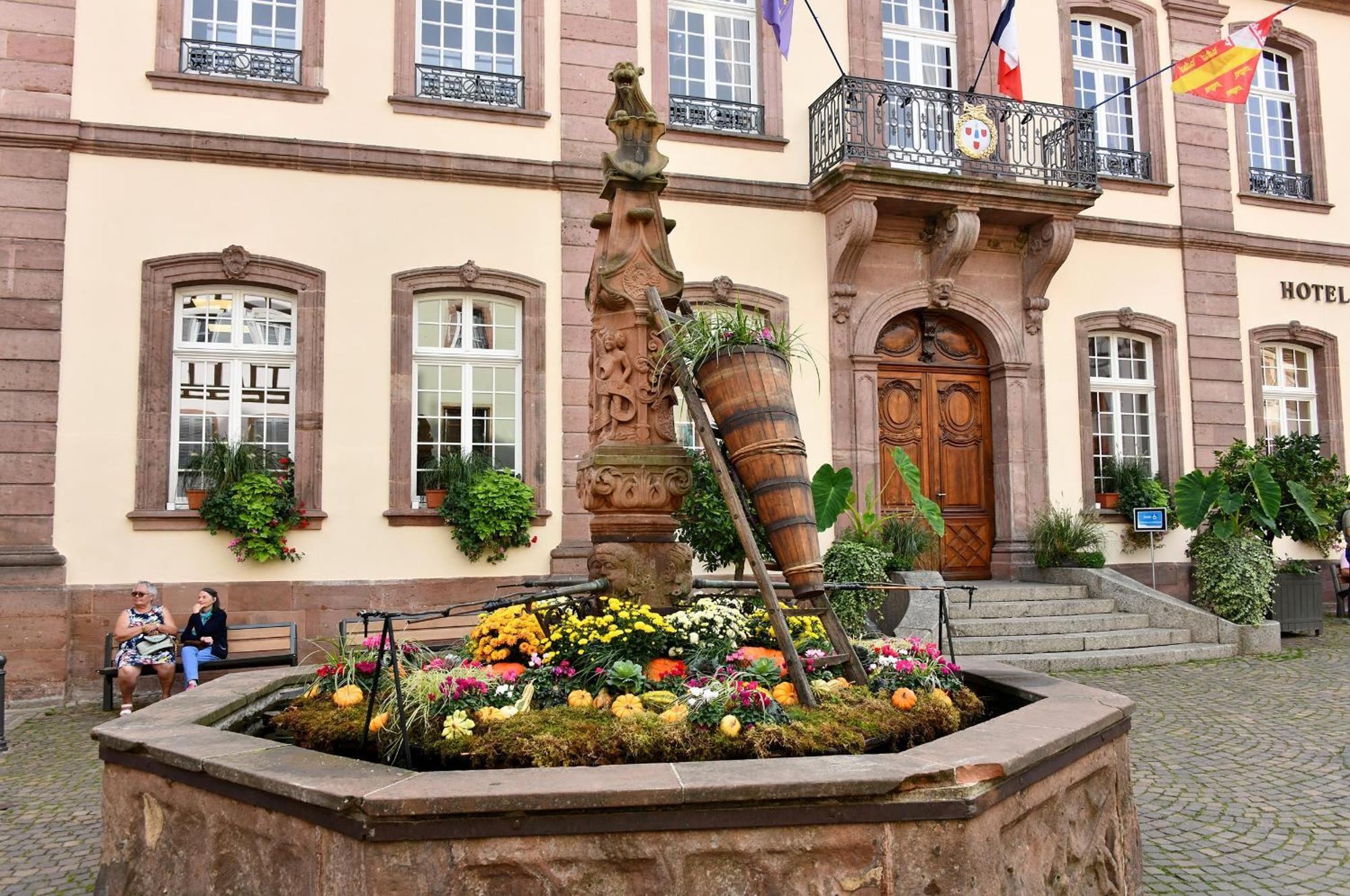 Apartmán Au Nid D'Hirondelles Ribeauvillé Exteriér fotografie